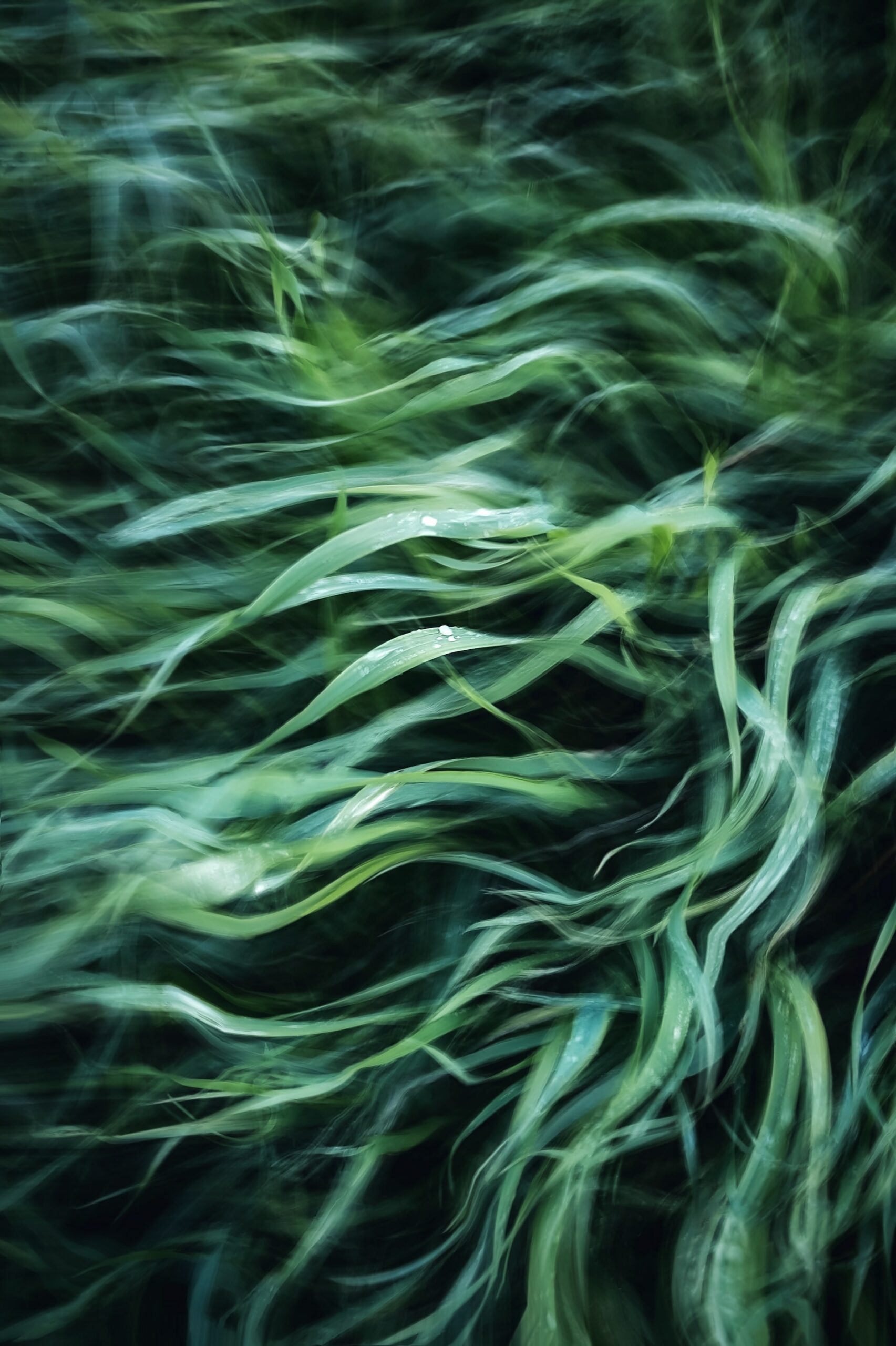 Design Thinking  et Agilité à l’échelle : une bonne alliance !