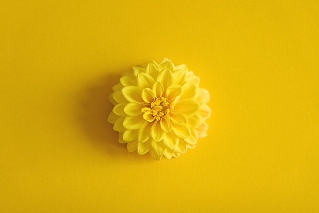 Organisation Produit : la relation entre User Research et maturité UX