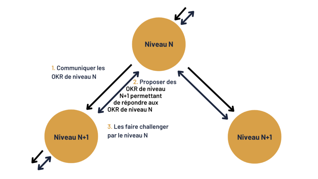 OKR structure de niveau N+1