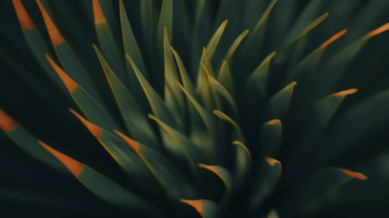 L&rsquo; approche produit, levier de transformation des grands groupes !