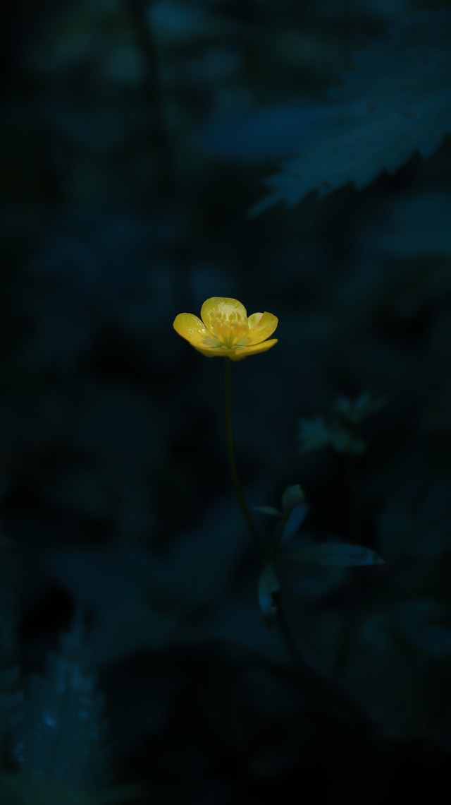 Le bon produit, au bon moment, au bon client : recette impossible ?