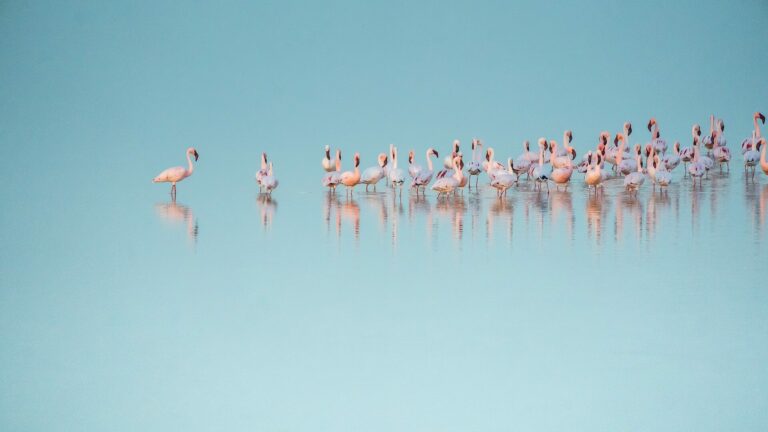 Transformation Produit : comment évaluer la maturité ?