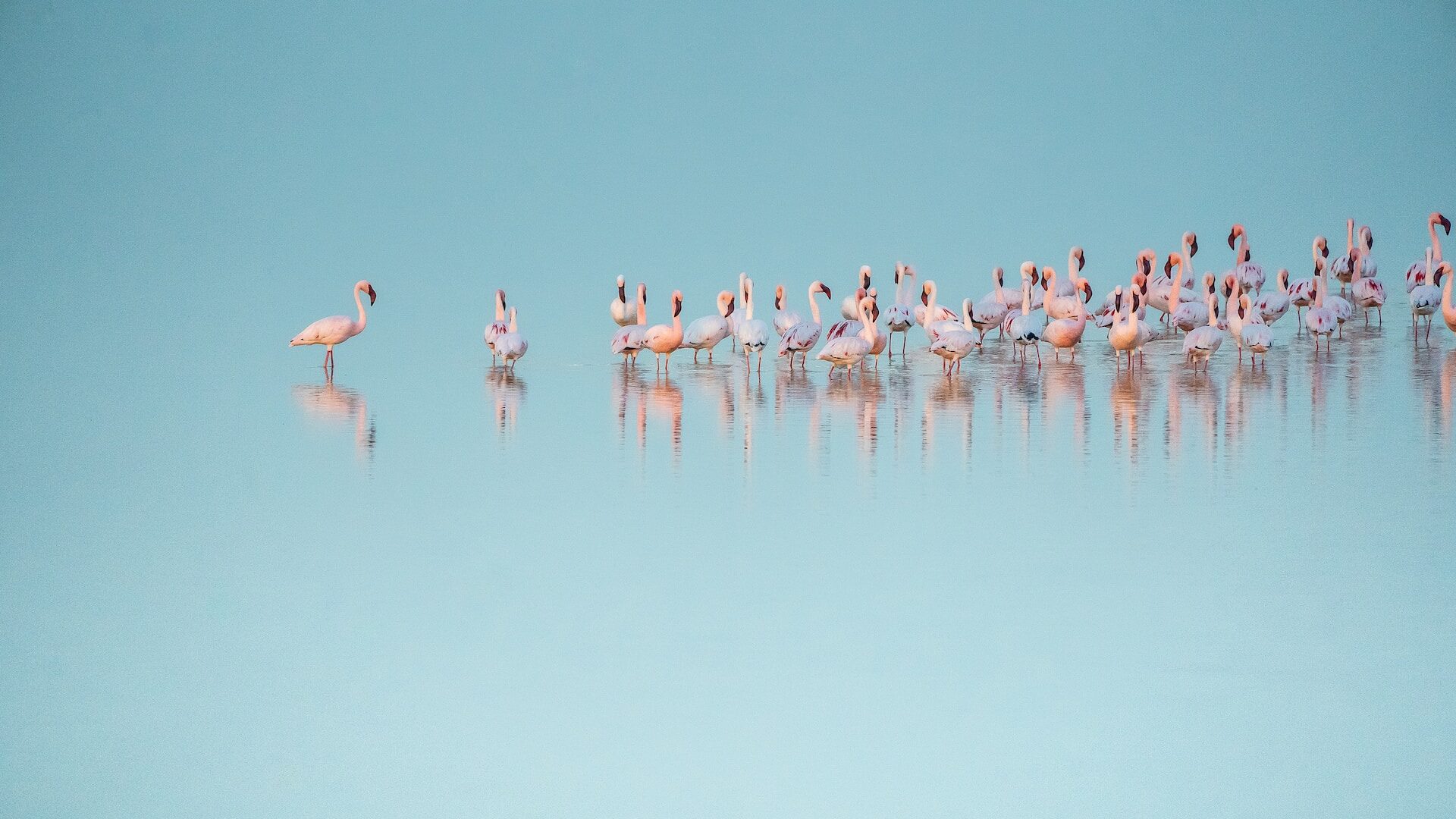 Transformation Produit : comment évaluer la maturité ?