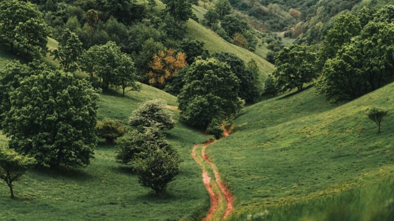 Votre initiative de transformation correspond-elle à vos objectifs ? Démontrez-le par la mesure  