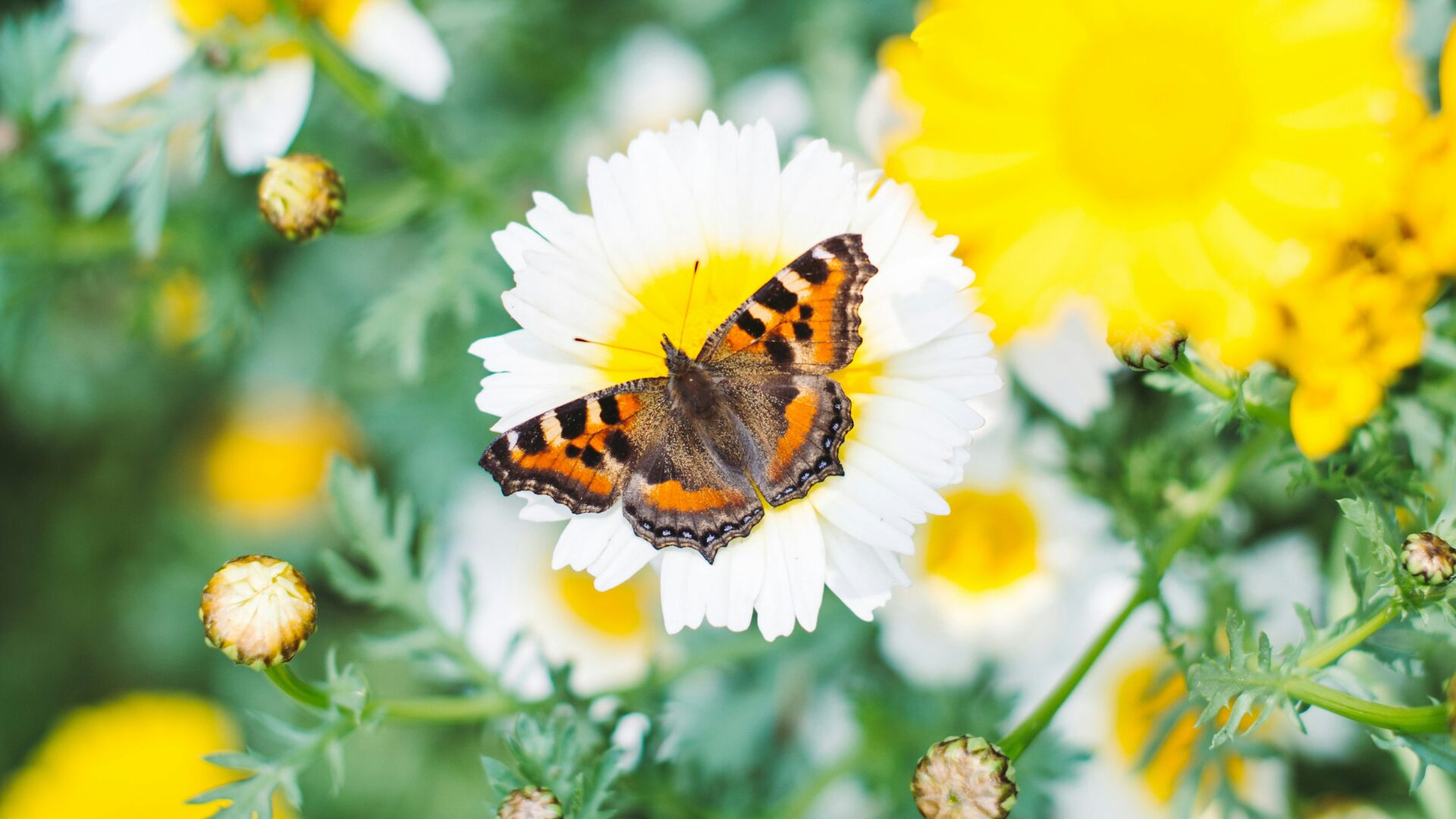 Maximiser l&rsquo;impact: Le Product Ops au Cœur des Grandes Entreprises