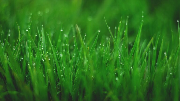 Quels enjeux pour le secteur bancaire ?