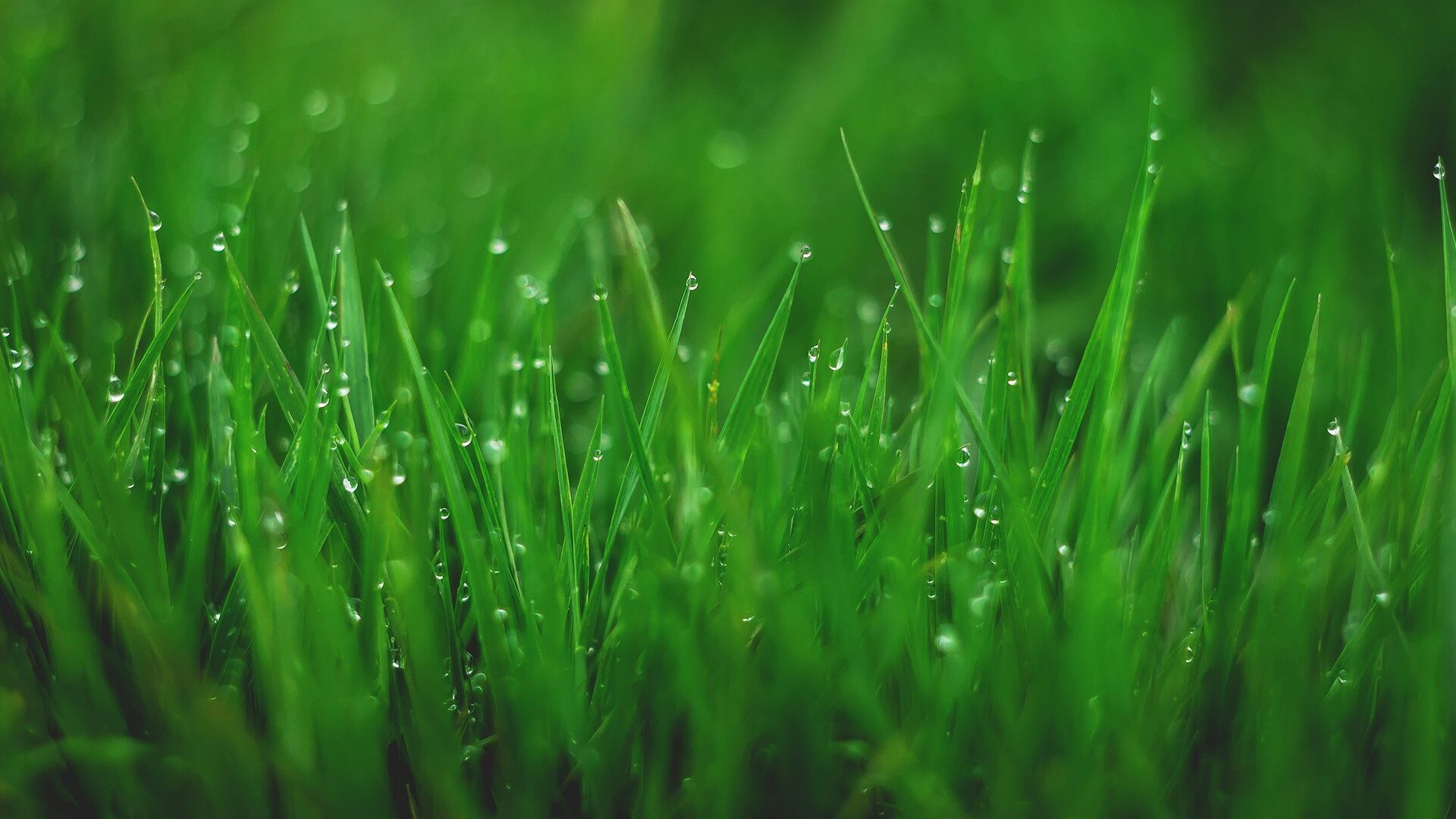 Quels enjeux pour le secteur bancaire ?