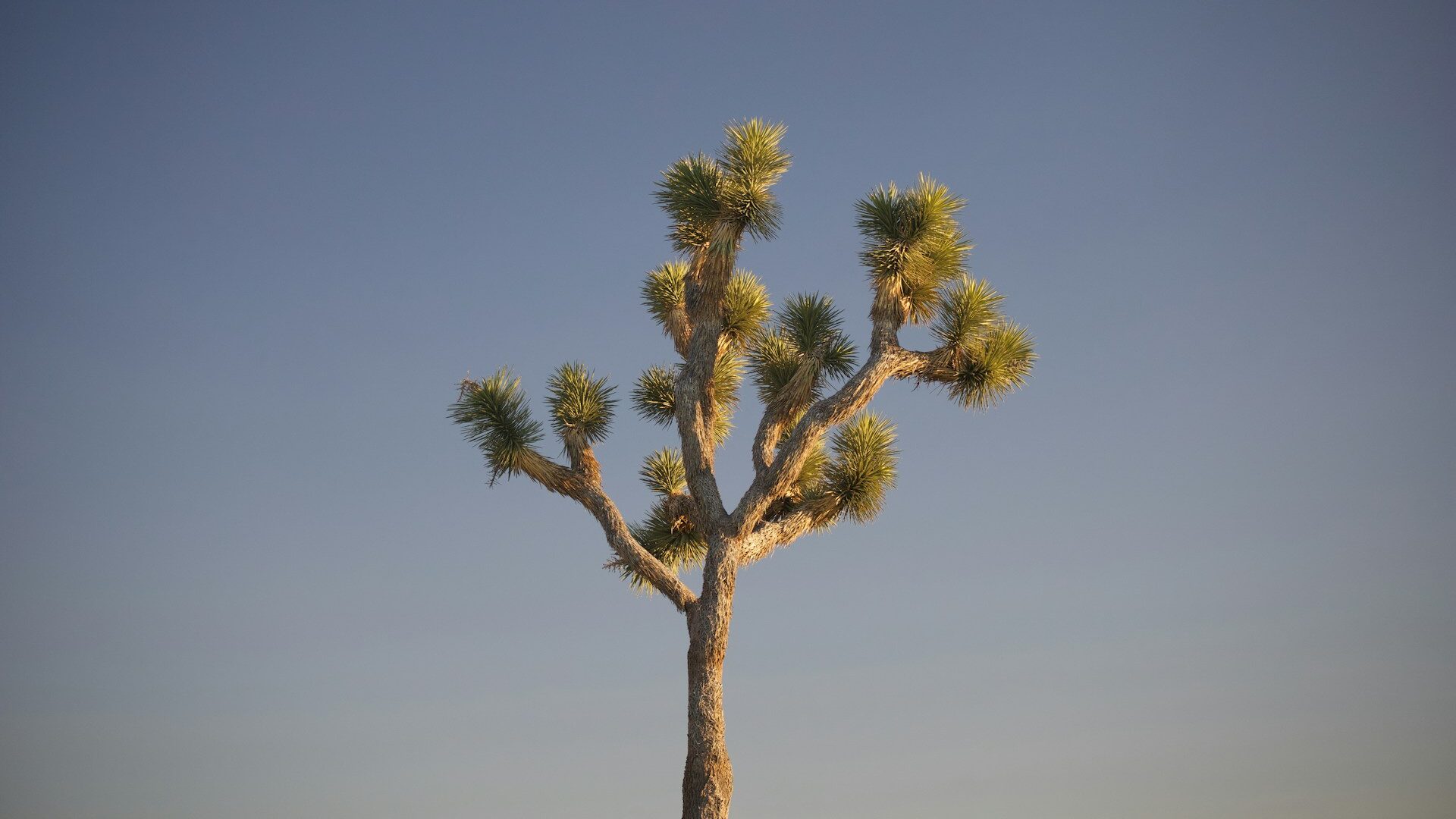 Le Design Sprint, un accélérateur pour la résolution de vos problèmes complexes