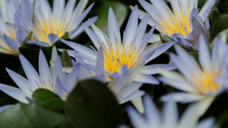 Epic Owner : rôle clé pour traduire une stratégie en solutions à forte valeur