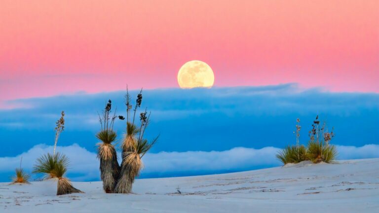 Acceptez que des équipes ne fassent pas partie d&rsquo;un train Agile !