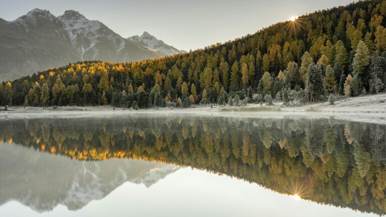 Comment concilier la quête d’autonomie des Portefeuilles et des Agile Release Trains avec la complexité des entreprises ?