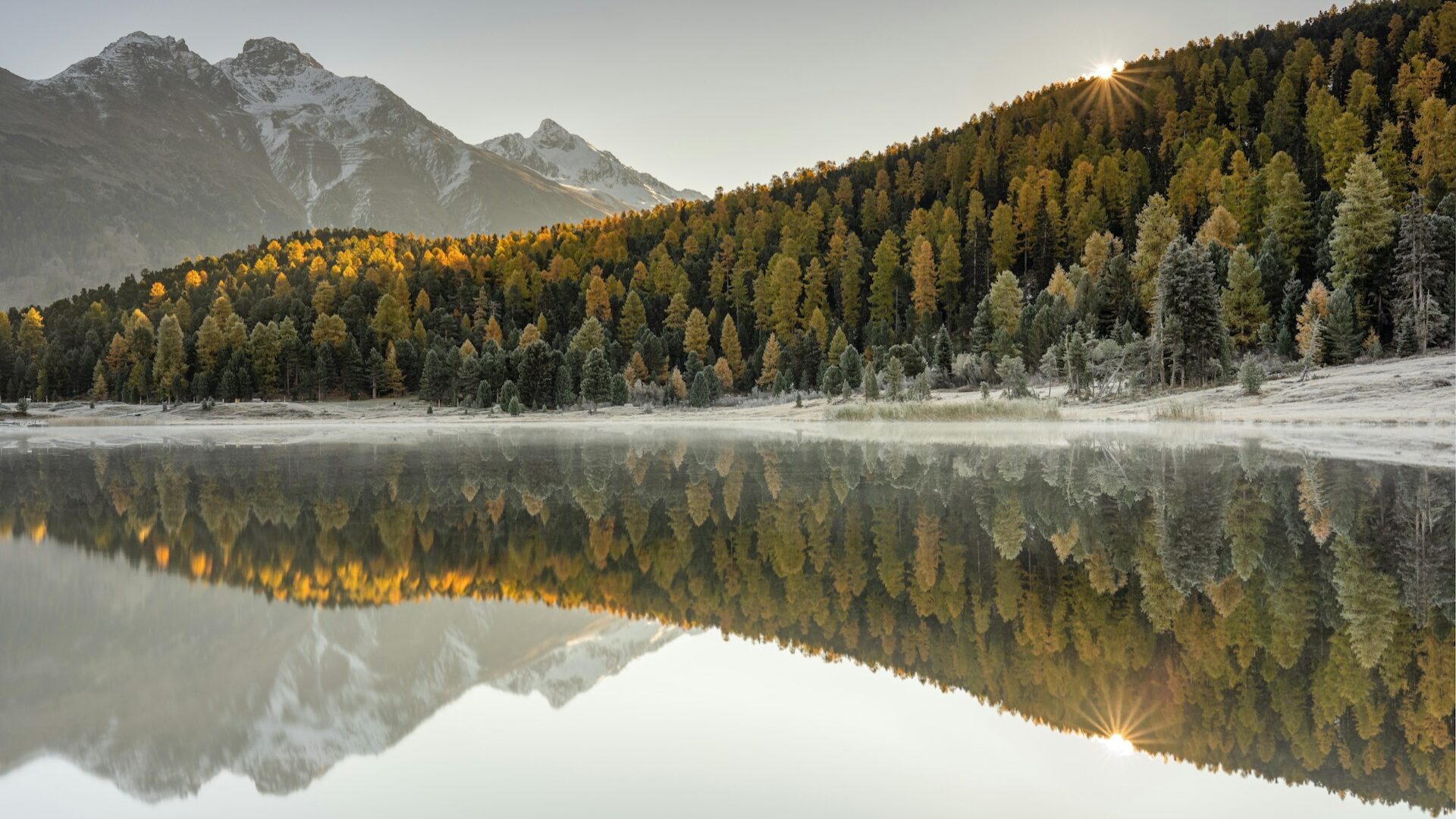 Comment concilier la quête d’autonomie des Portefeuilles et des Agile Release Trains avec la complexité des entreprises ?