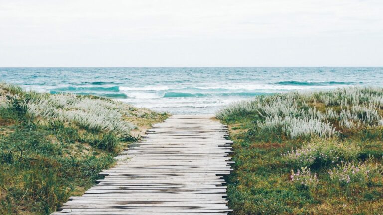 Management systémique : comprendre les boucles et agir !