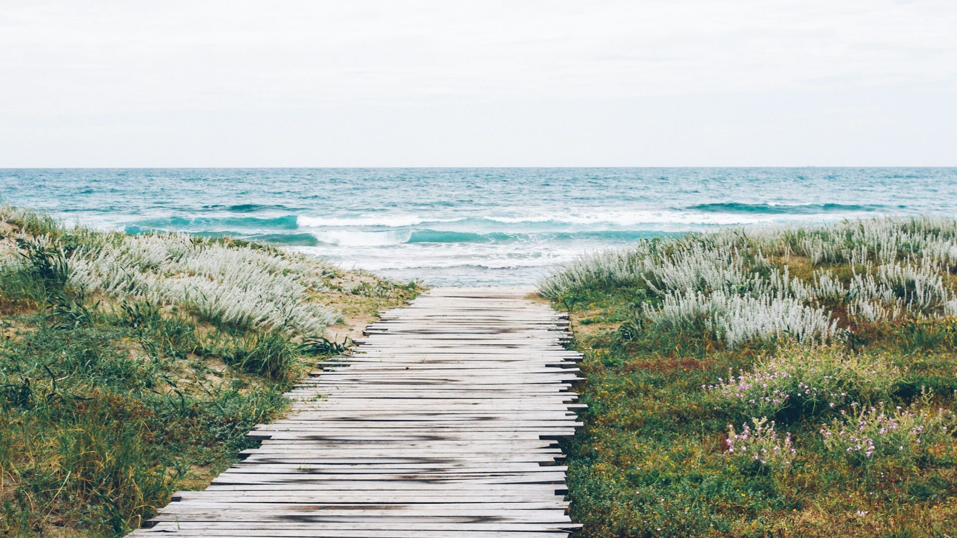 Management systémique : comprendre les boucles et agir !