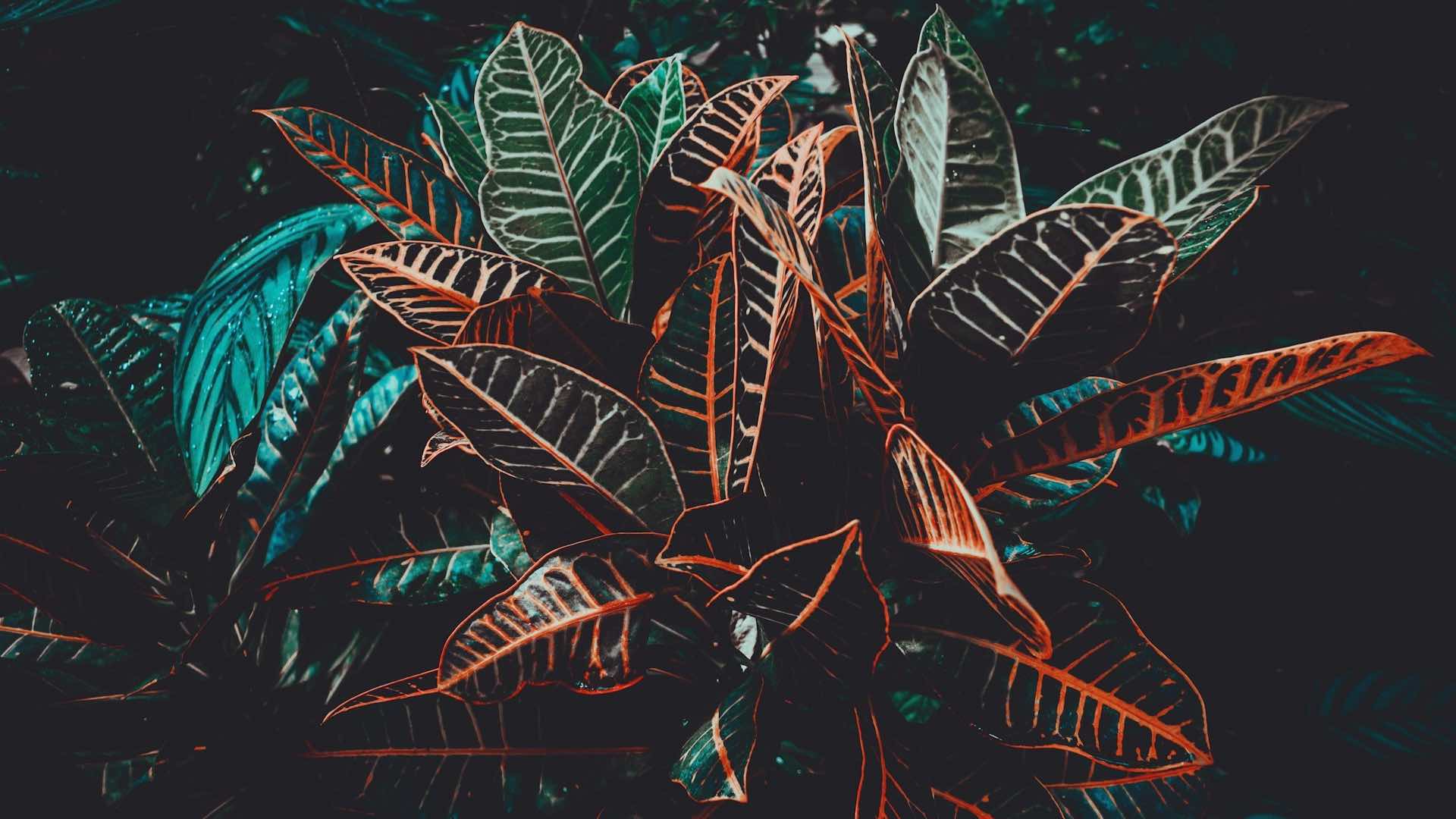 Comment IA générative et data transforment le mode produit 