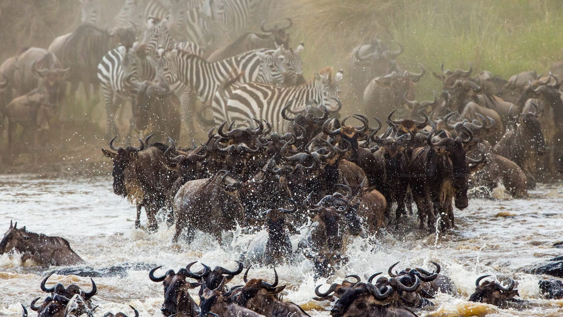 Guide pratique pour lancer un LPM 