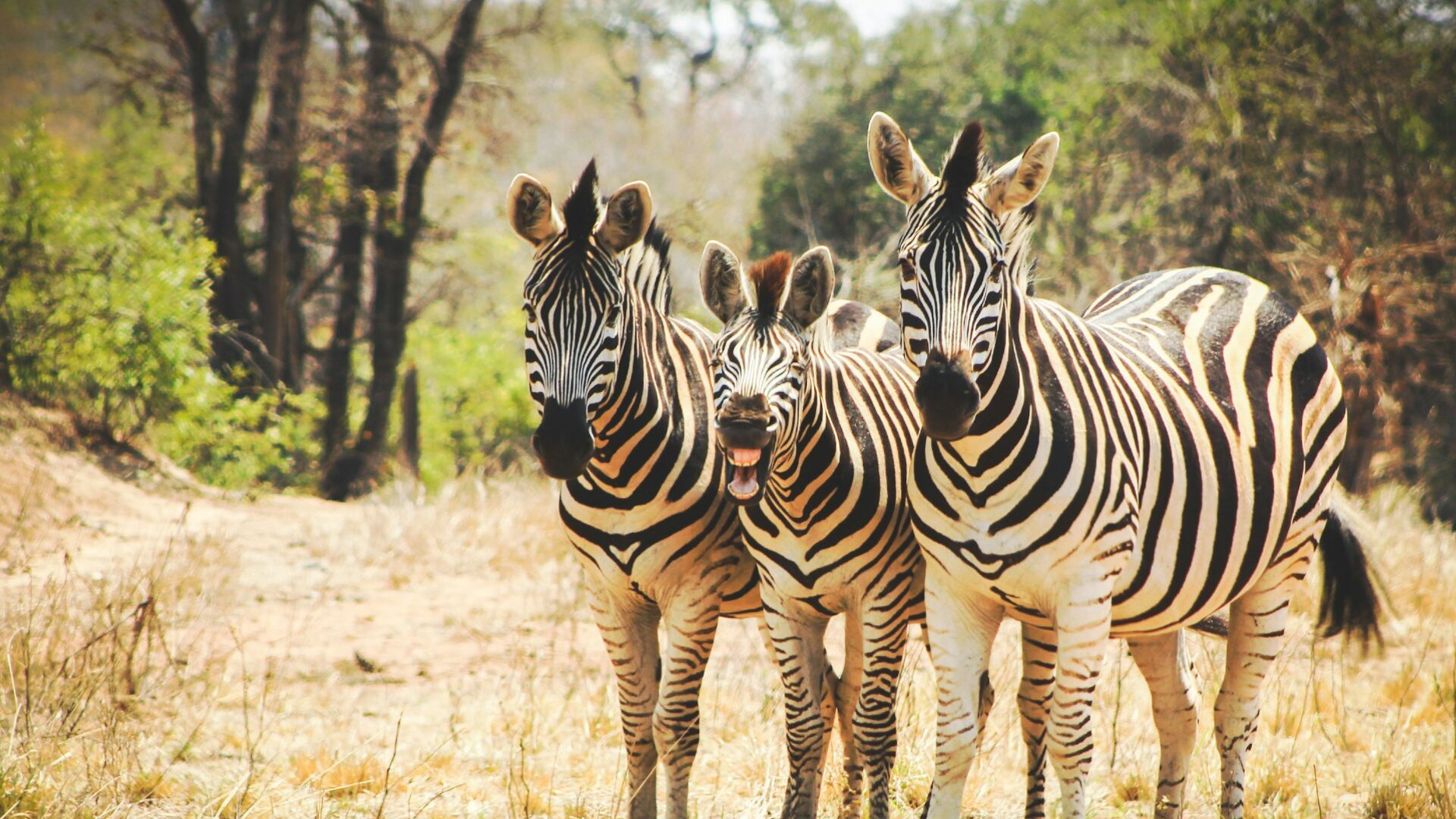 Gouvernance Produit : Epic Owner, Business Owner, PM, des rôles clés !