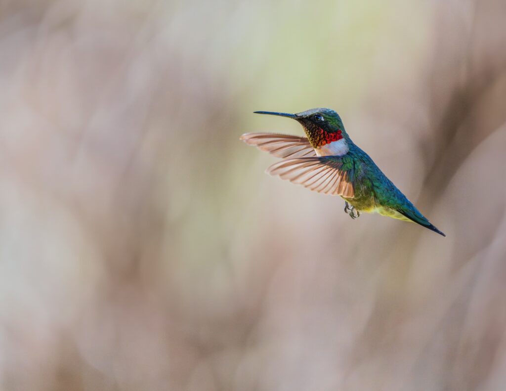 AG2R La Mondiale : Orchestrer le Delivery à grande échelle